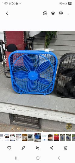 Fan