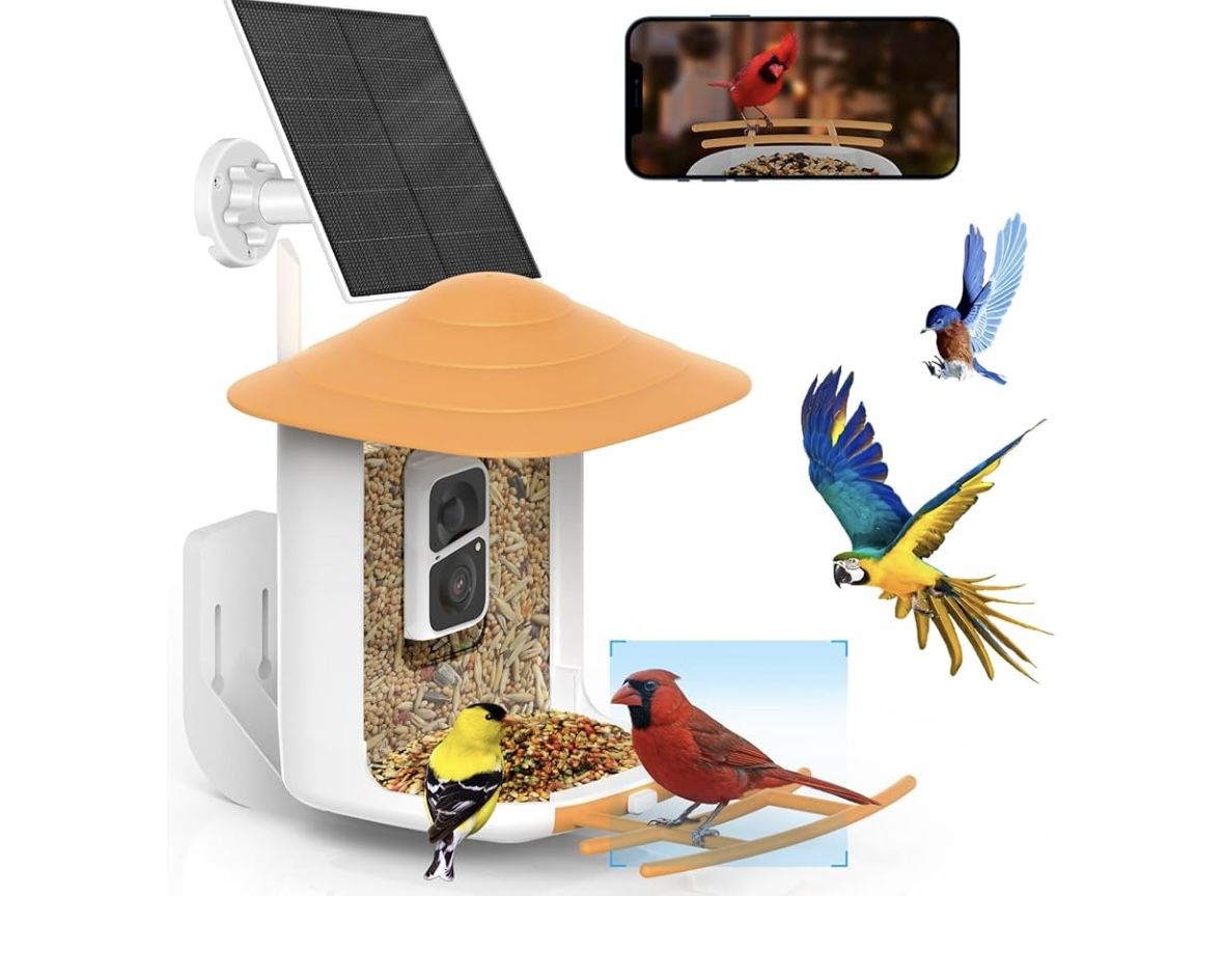 SOLIOM BF09 Bird Feeder with Camera Wireless Outdoor, Smart Feeder Camera with Al Identify Species, Backyard Watching Gift, Auto Record Bird Video, In