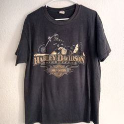 2013 Harley Davidson Pin Up