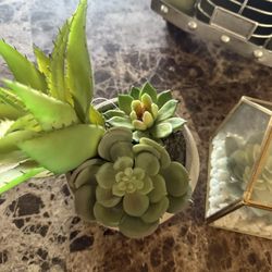 2 Fake Succulents 