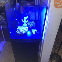 Aquarium 