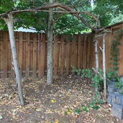 Wooden Arch