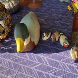 Duck Collection (5)duck Series.