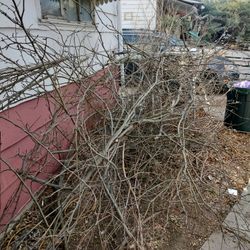 Free Wood For Fire Pit