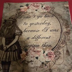 16” by 16” Alice in Wonderland pillow case