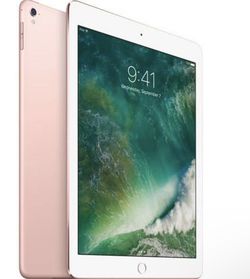 iPad Mini Rose Gold