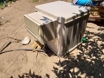 Champion cooler
