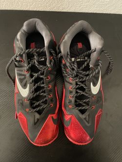 Lebrons Nike Basketball Size 11