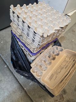 Bulk Lot Cardboard Egg Cartons/Trays