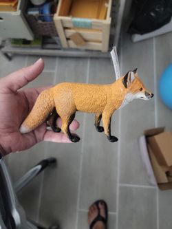 Safari Fox