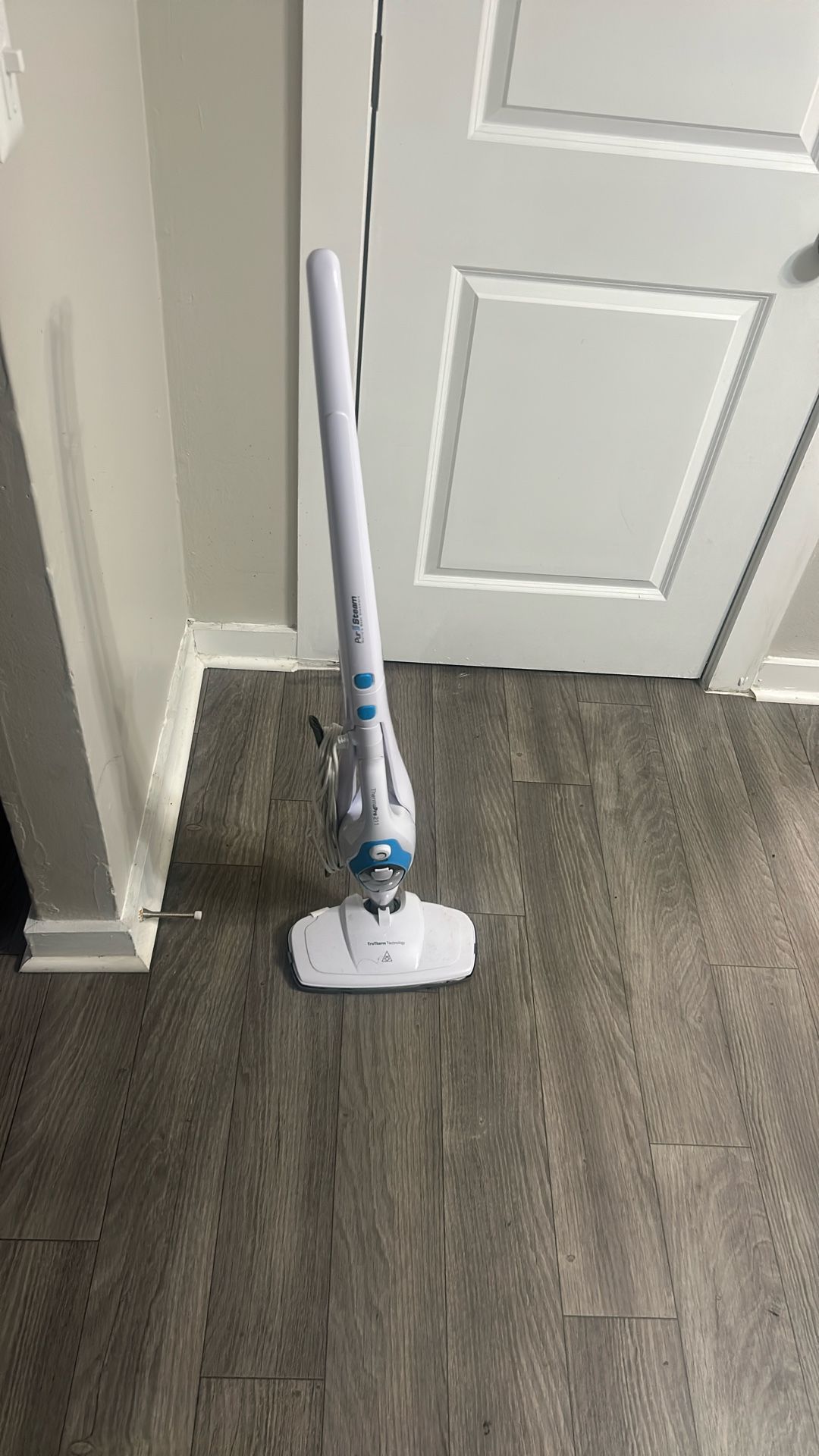 PurSteam Steam Mop