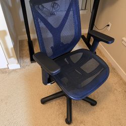 Ergonomic Office Chair
