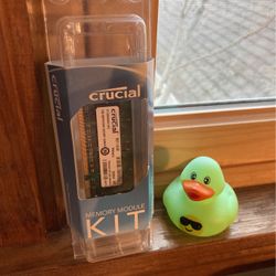 Crucial Memory Kit