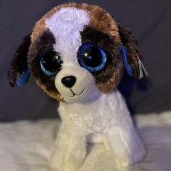 TY Beanie Boo “Duke” Plush Stuffie