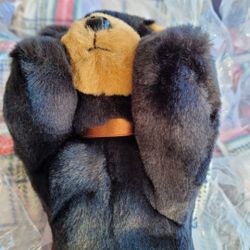 48 x Bearington Black Bear