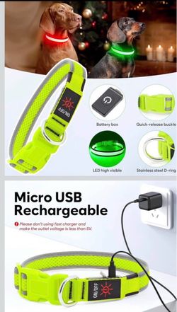 Led dog collar lime green