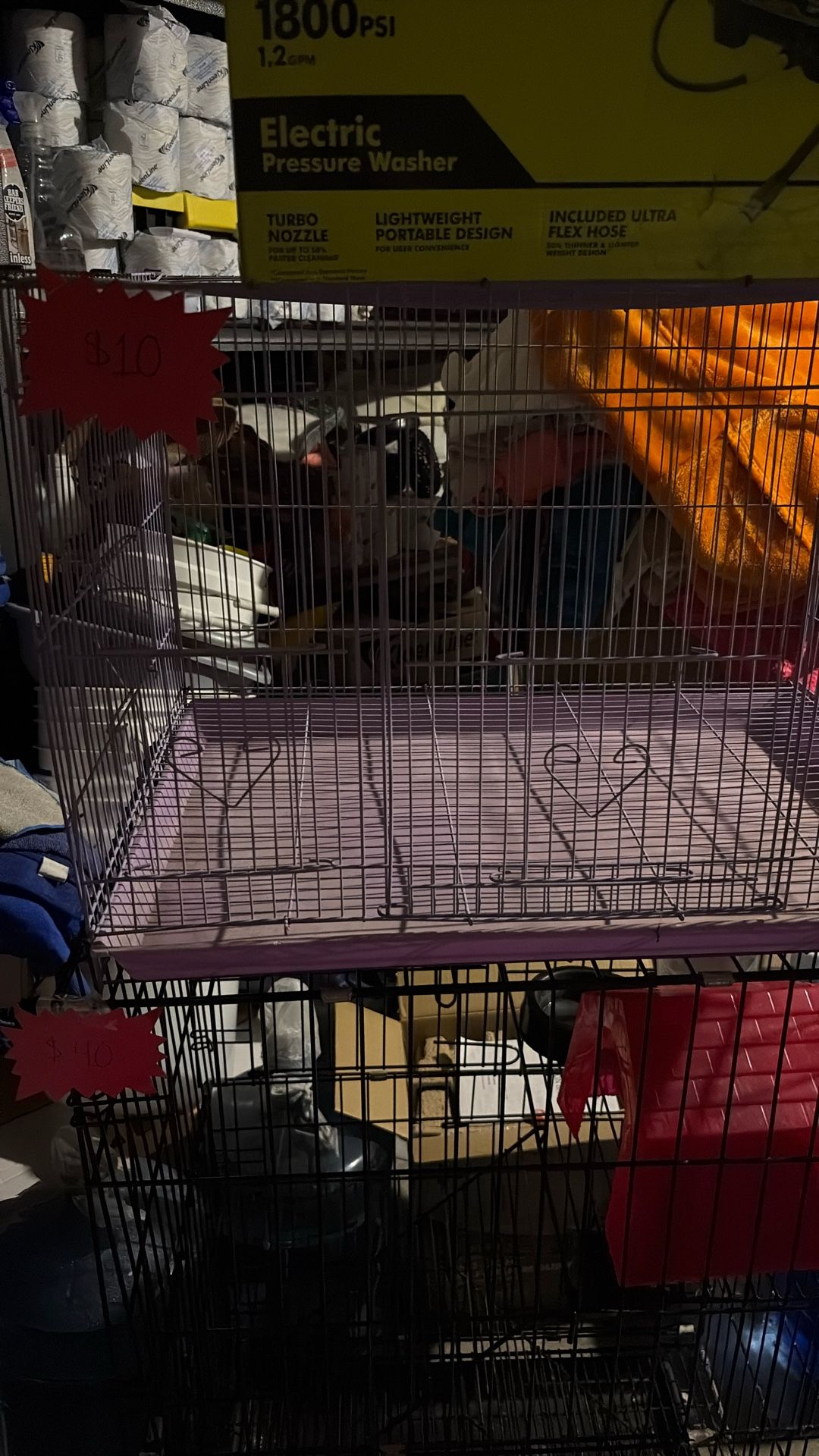 Bird Cage