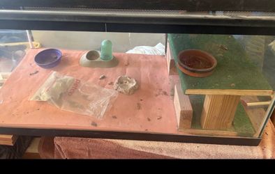 Terrarium 40 Gallons