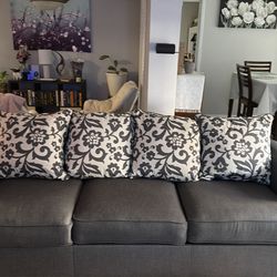 Couch/ sleeper sofa **Free**