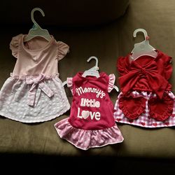 Stylish Small Dog Dresses