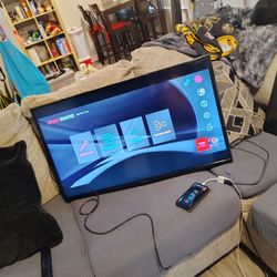40" Insignia Led Tv