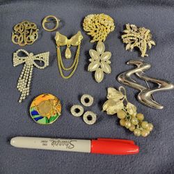 (13) Assorted Brooches 