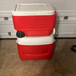 Igloo Cooler