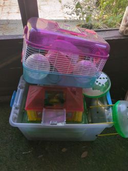 Hamster Cages