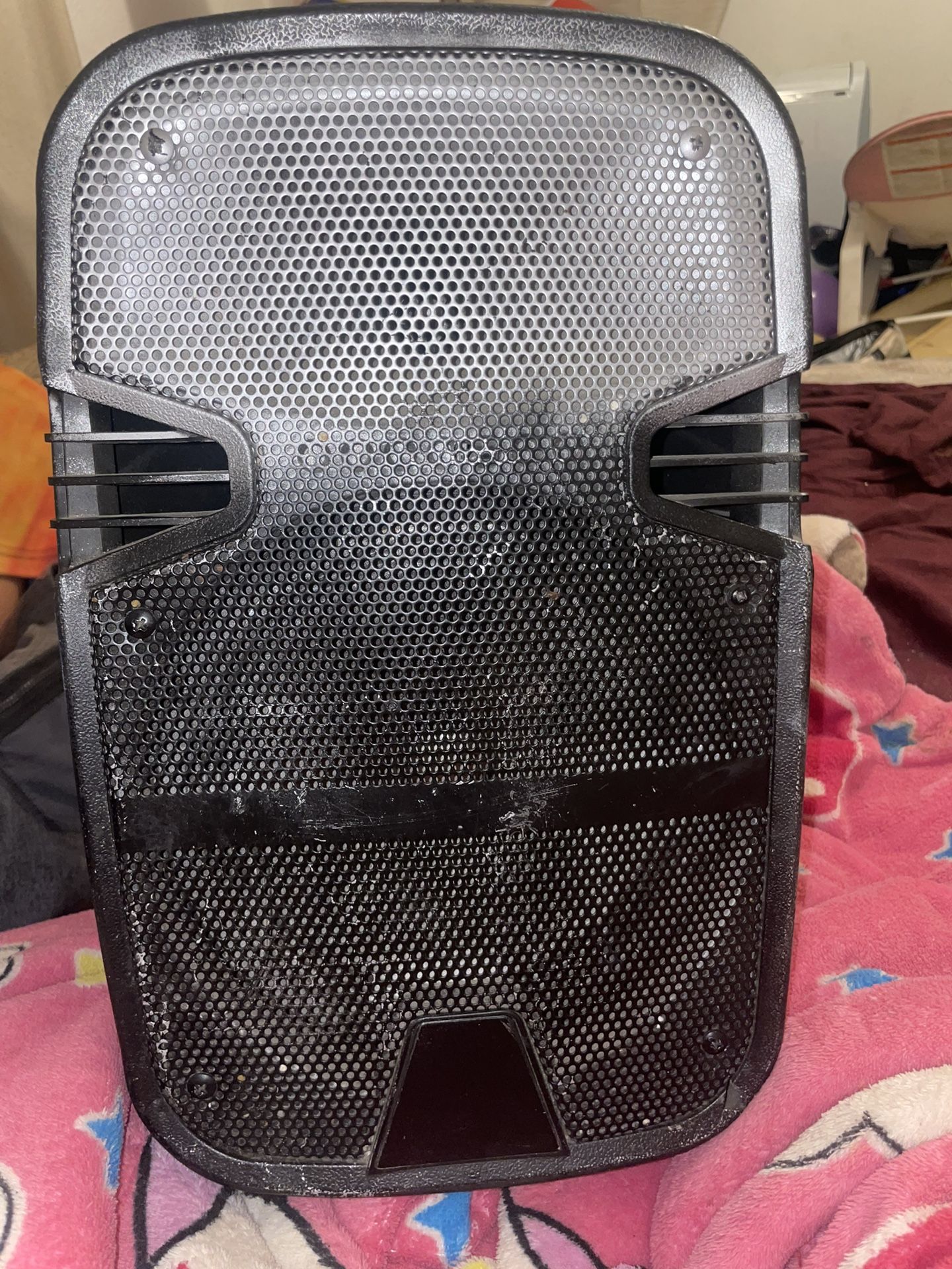 Portable PA Speaker