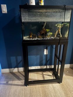 20 gallon fish tank