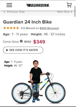 Guardian Ethos