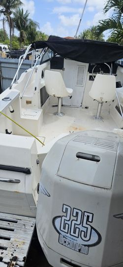 Trophy Bayliner