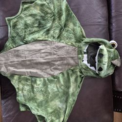 Dinosaur Costume 