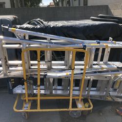 Werner Multi-Max Pro Ladders 