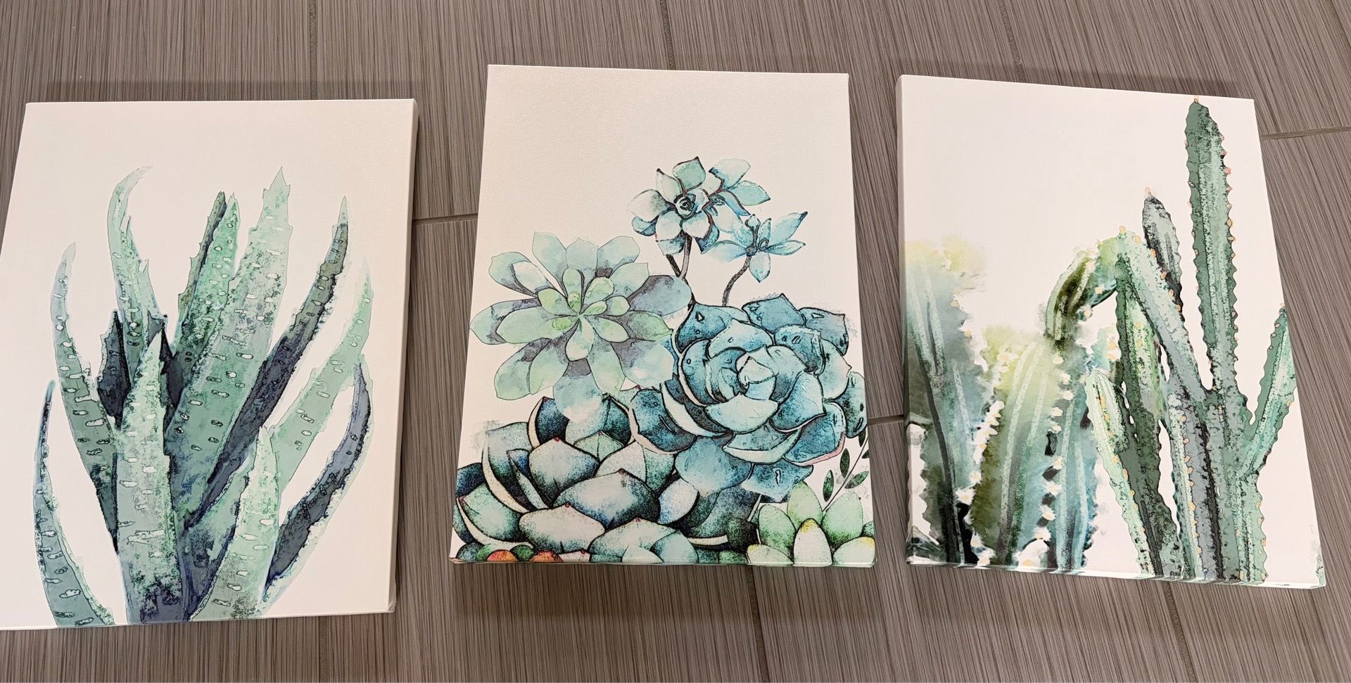 Cactus canvas set of 3