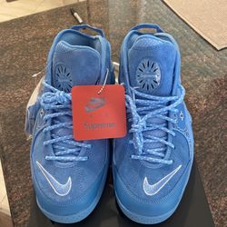 Supreme Nike Zoom Flight 95 SP