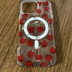 iPhone 16 Pro Max Case