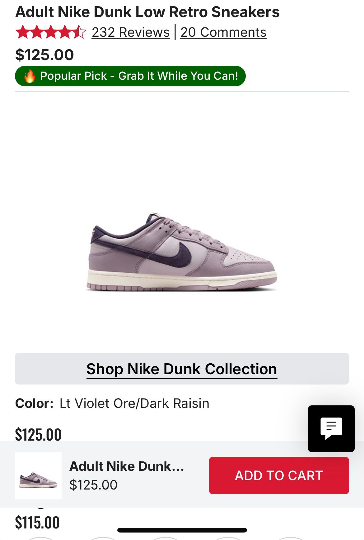 Nike Dunk Low Retro SE