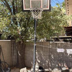 Basketball ball rim