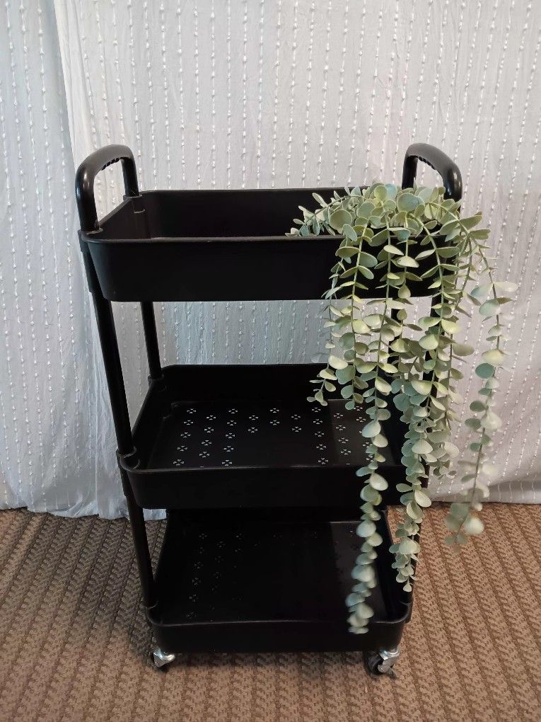 Super Cute Black Organizer For Sale 