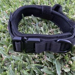 Dog Collar 