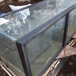 Large Aqurium 