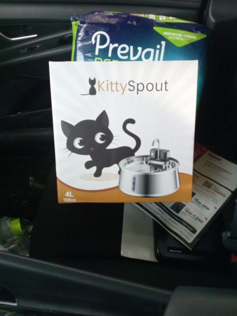 Kitty Spout 