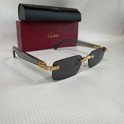 Cartier the new framless Sunglasses
