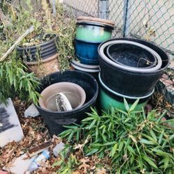 Flower pots