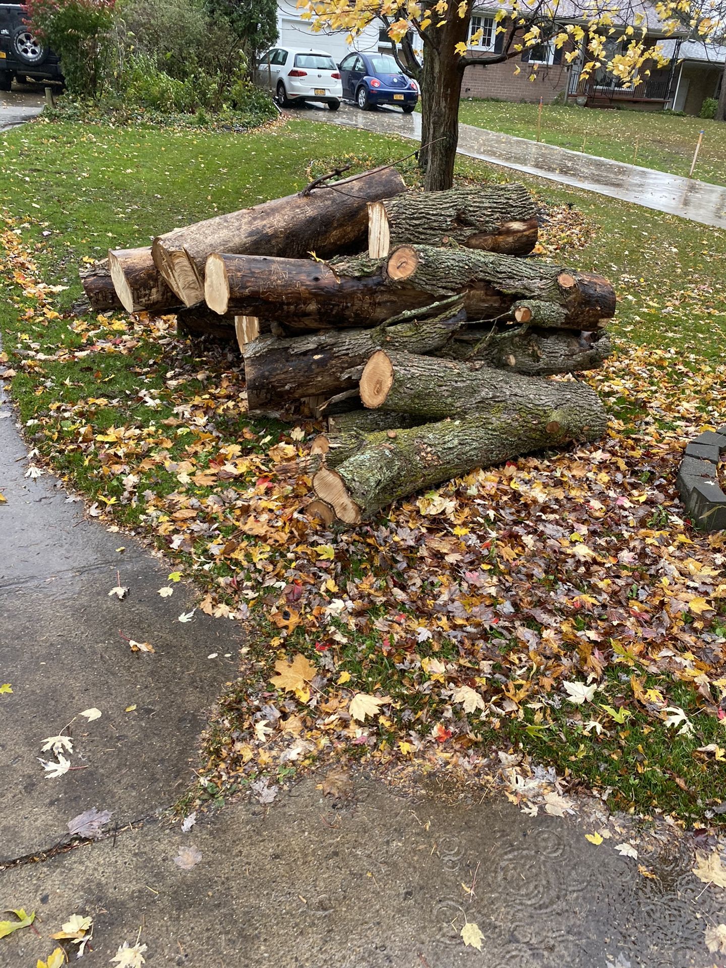 Firewood logs