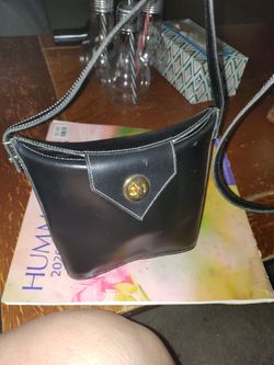PAGUETAGE PURSE ( PARIS )(OVER THE SHOULDER).   PICK ⛏️ UP ONLY