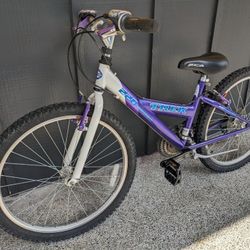 Trek 220 24" 21-Speed Gravel/Mountain/Road Hybrid Bike - Light 12" Frame - NEW Tubes/Newer Tires - Tuned! (Youth/Kids Bike)