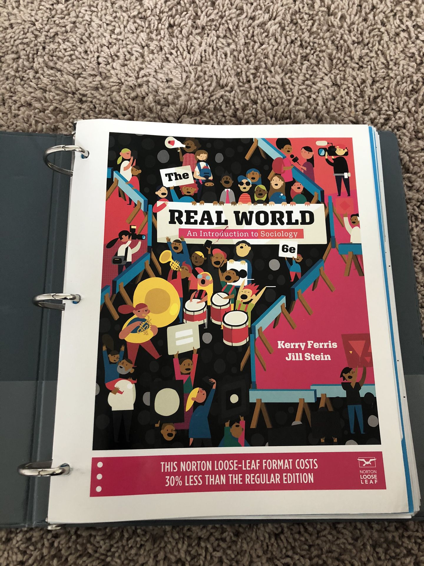 Real World: An introduction to Sociology- 6th edition