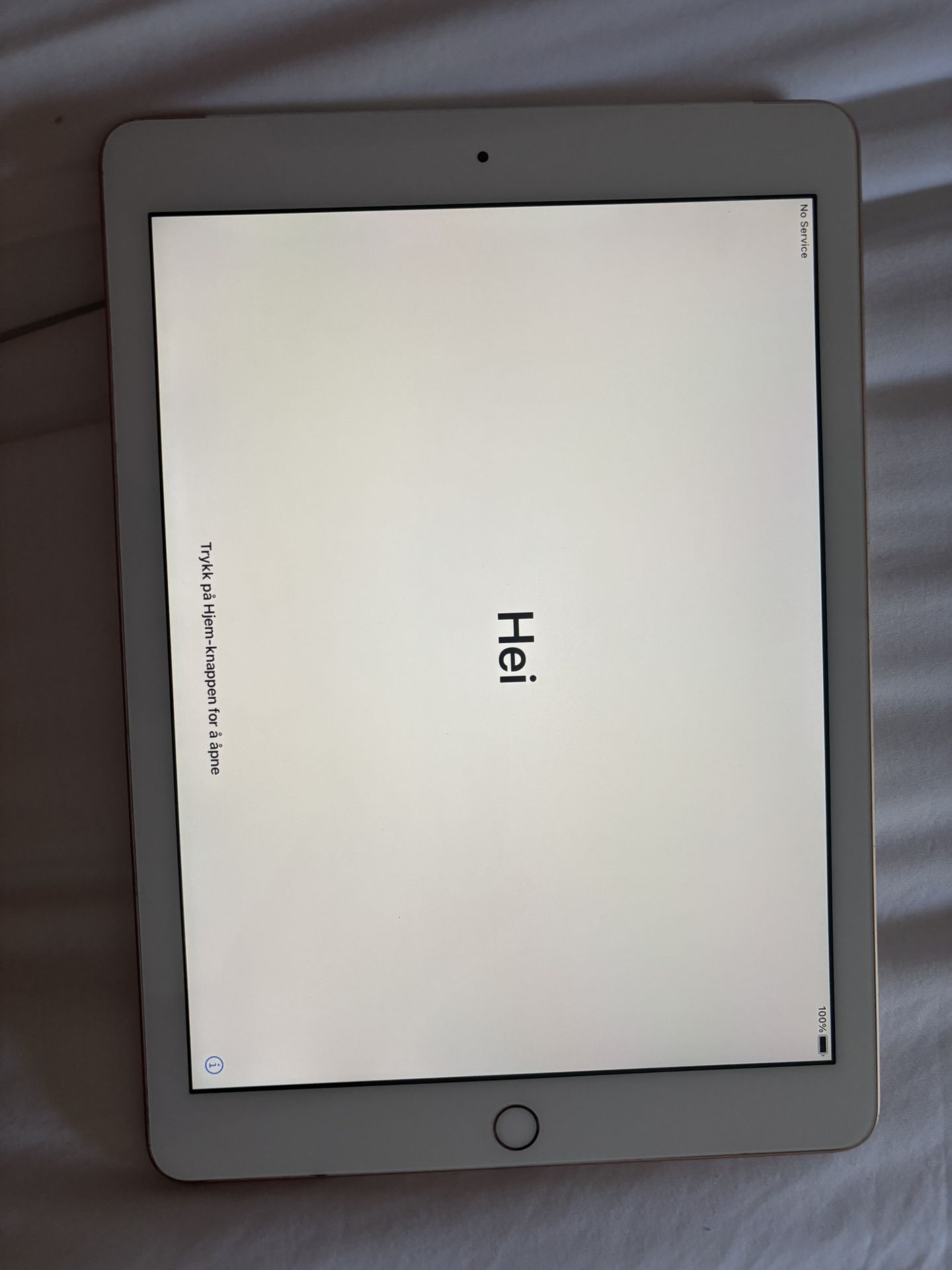 iPad 5th Gen 32gb